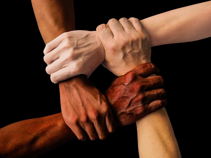 Diversity and Culture
